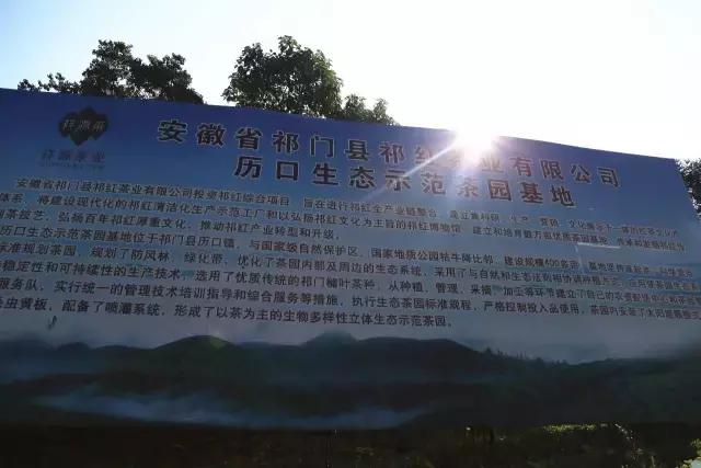 小产区祥源茶,小产区祥源茶礼盒