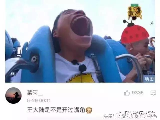 有哪些比较好笑的梗,最近网上最好玩的梗