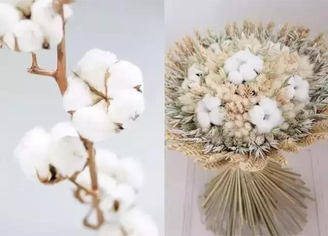 娈嬫灊璐ュ彾鎻掕姳,娈嬫灊璐ヨ姳