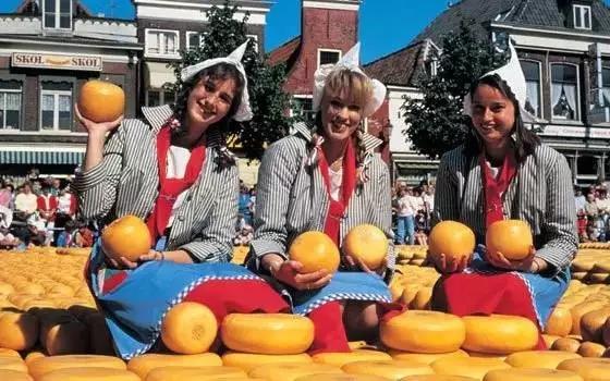 荷兰现在能不能去,什么时候不能去荷兰