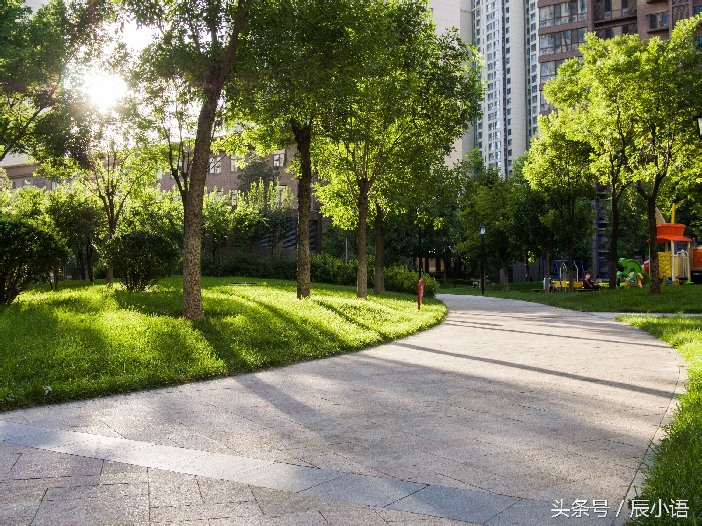 小蚁微单相当于什么相机,小蚁微单深度评测