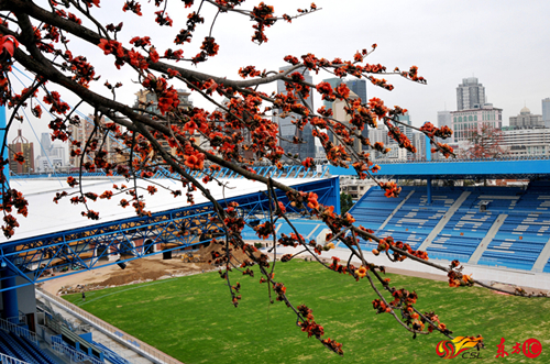 中国专业足球球场巡礼,中国球场赛事