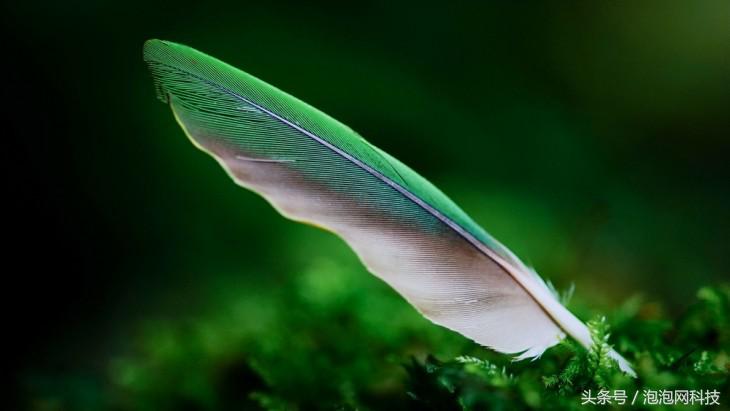 口碑最好的oled电视机,索尼a1电视深度测评