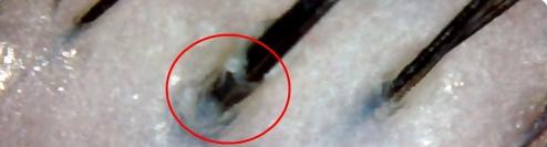 日常护发养发小技巧,养发护发最火视频