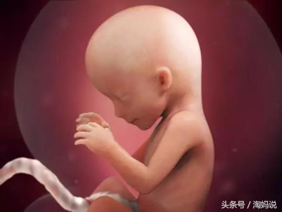 胎儿发育40周全过程注意事项,赞宝宝训练抬头的句子