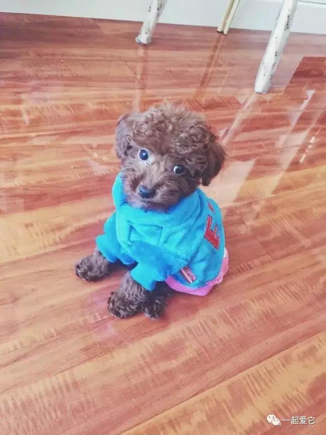 宠爱小故事大全,宠爱故事免费阅读