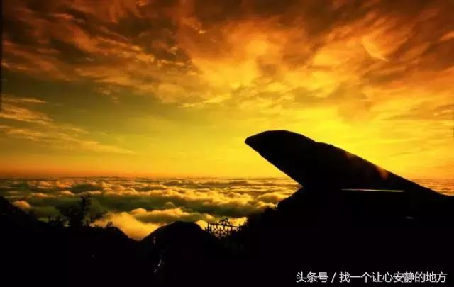 1-3月份山东适合去哪旅游,山东1月2日旅游攻略大全