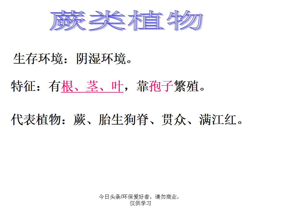 认识植物从身边开始,认识植物的根茎叶各个部分