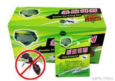 爱车被动物入侵怎么办,爱车被狗咬坏怎么办