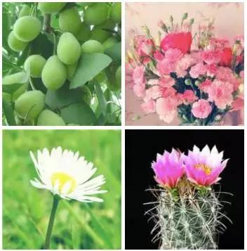 你的微信名字暴露了你的人生,你的微信名暴露了是什么样的人