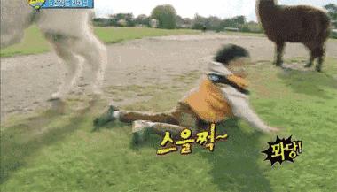 黑头白头能有效去除吗,一涂黑头就冒出来的面膜