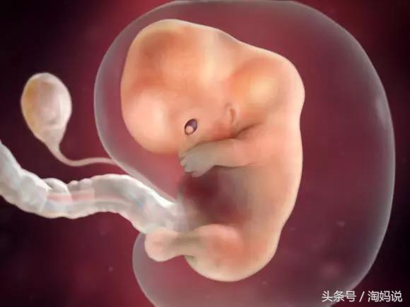 胎儿发育40周全过程注意事项,赞宝宝训练抬头的句子