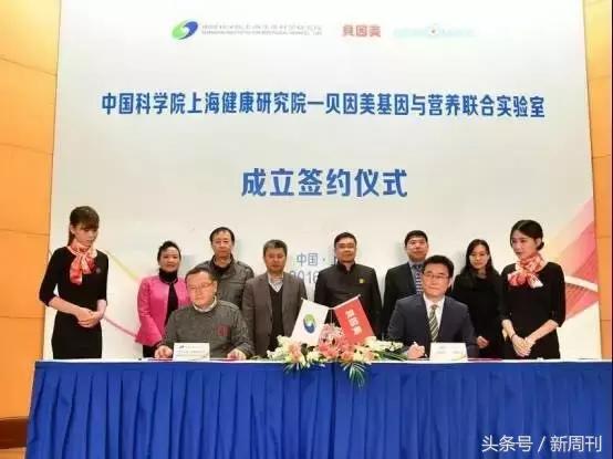 中国妈妈奶粉,国产奶粉的现状及突围