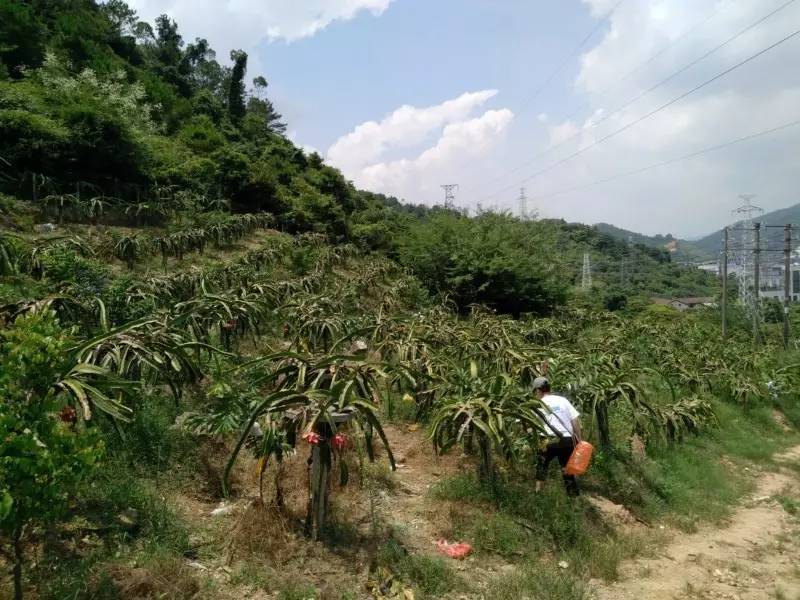 怡情于山水，相伴于旅途——天助网总部广州两日旅行漫记