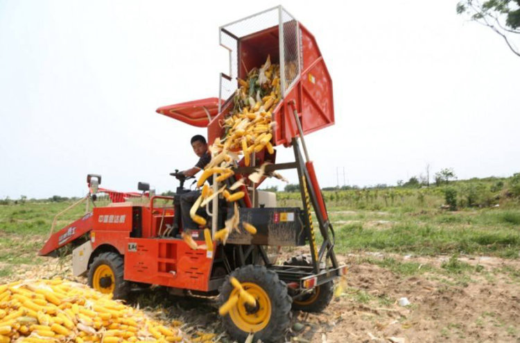 玉米收获机有哪些问题,玉米收获机哪款最好