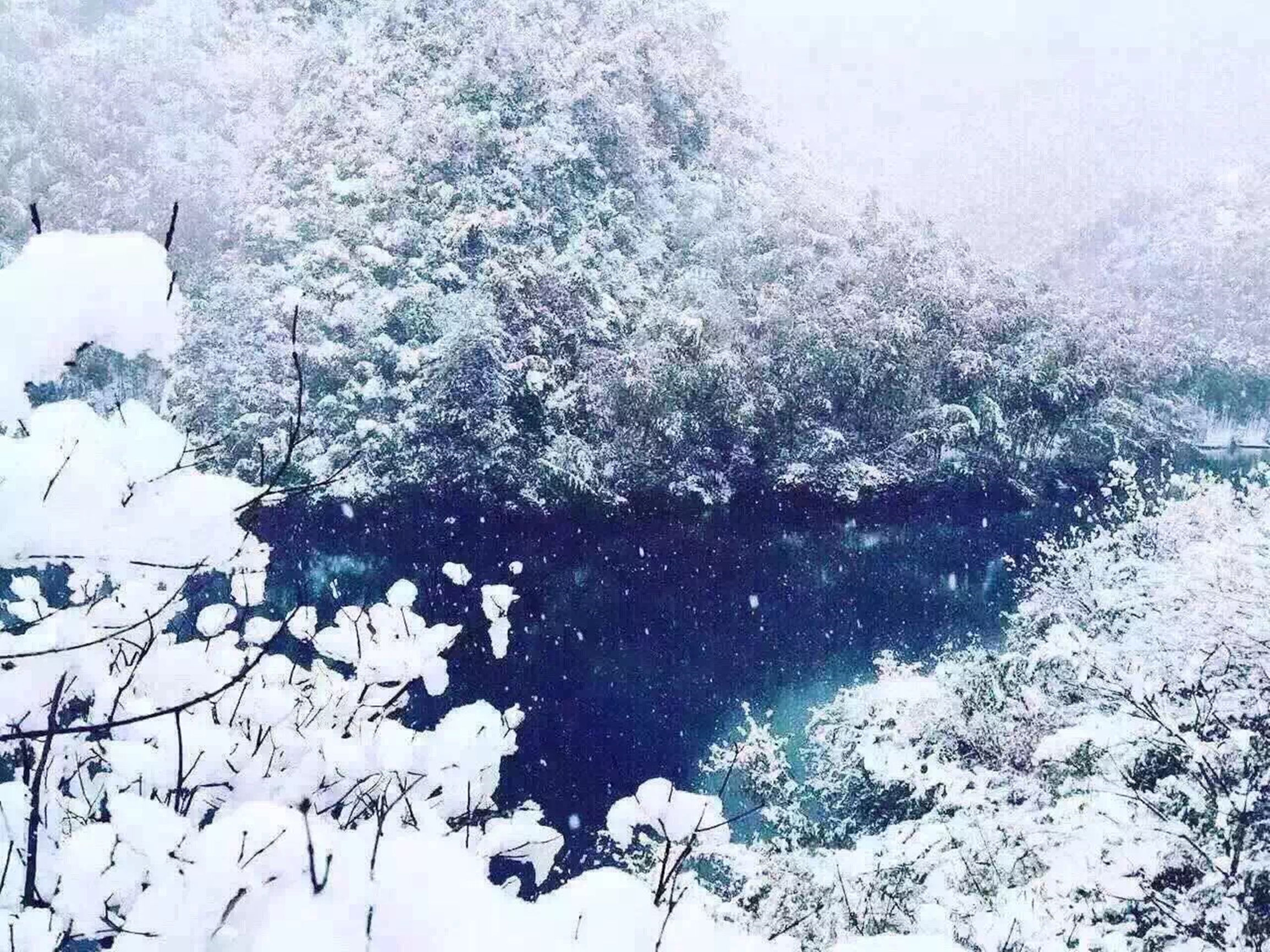 40平米民宿推荐,最便宜的深山民宿