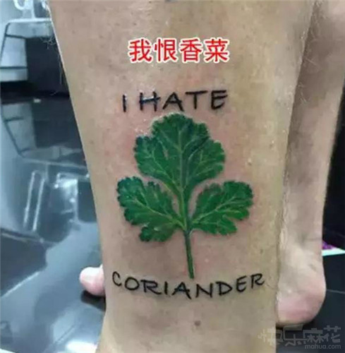 开会老板发脾气原视频,开会领导突然发火怼你