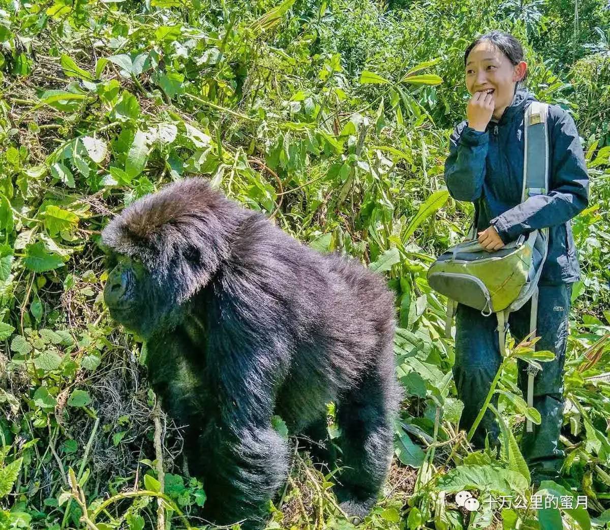 环游世界不穷游需要多少钱,环游世界最少要用多少钱