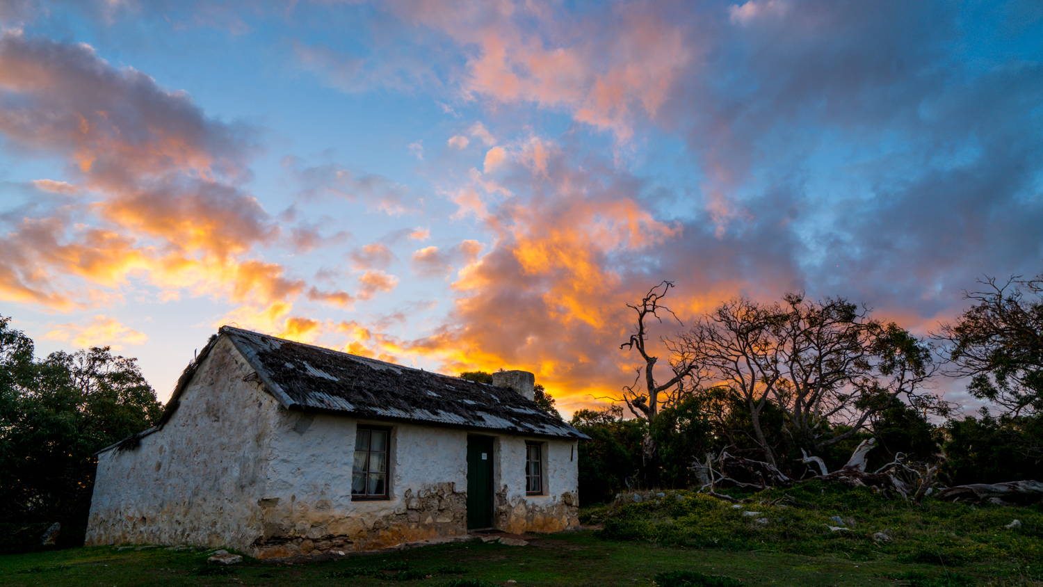 澳洲生蚝哪里最好,全球顶级生蚝多少钱一个