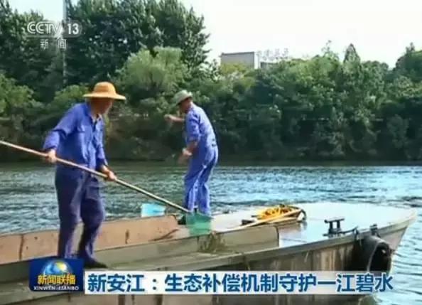 3分钟新闻速看,三分钟速览新闻播报