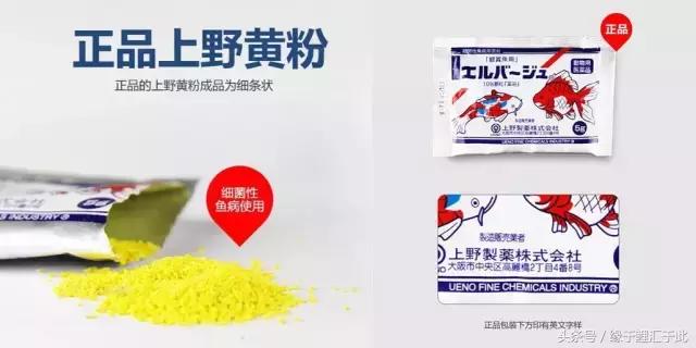 鱼药的使用规范,鱼药十大禁忌