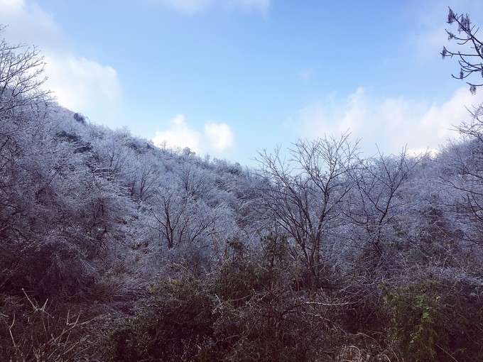 七天六晚长沙张家界吃货视角带你领略冰天雪地的张家