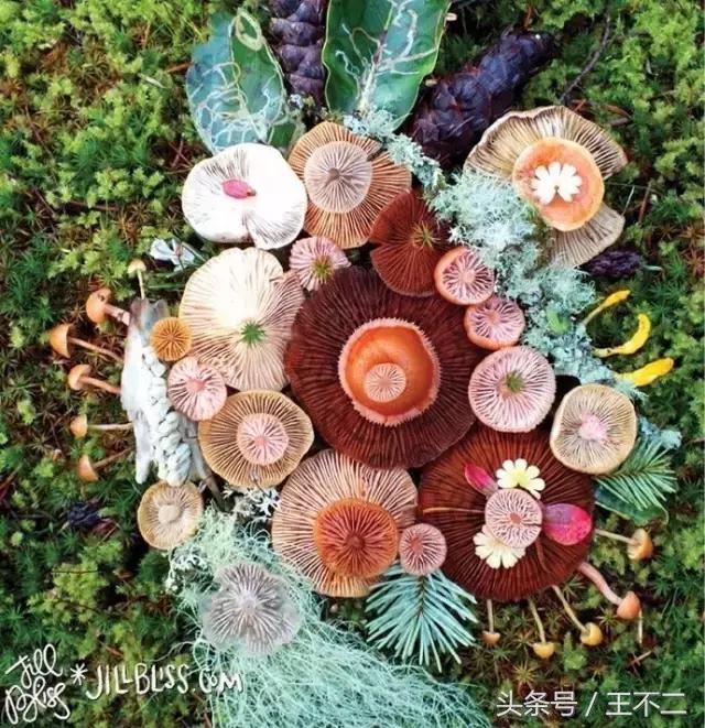 开挂的人生是要靠自己,开挂的人生从来绝非偶然