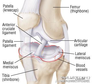 半月板的损伤怎么治疗,膝关节半月板损伤类型和缓解方法