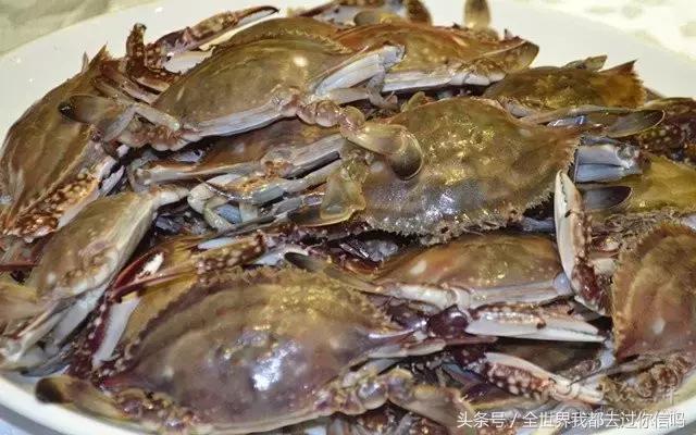 广州附近竟然有个“爱琴海”,美爆了!现在我还需要出国吗?