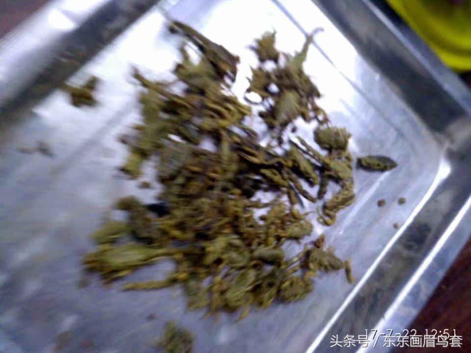 东东画眉鸟视频,东东画眉鸟套