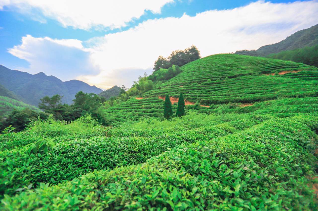 40平米民宿推荐,最便宜的深山民宿