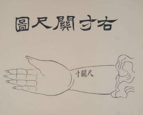 浅释《濒湖脉学》中的浮脉和滑脉(二)