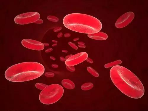 膝盖无缘无故出现淤紫还有黑点,膝盖无缘无故紫青图片