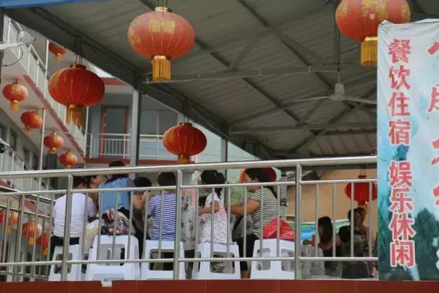 山西历山舜王坪大草原攻略,看云海高山草甸的地方