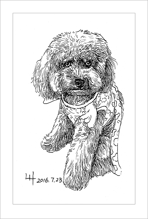 钢笔画动物昆虫,钢笔画家禽速写