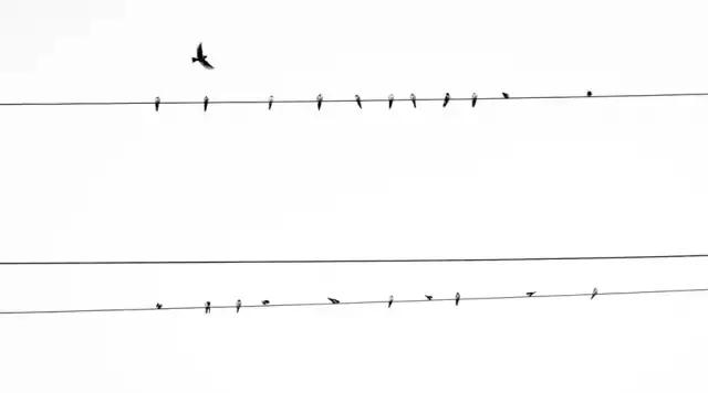 芒格人类错误认知倾向,芒格谈人性的视频