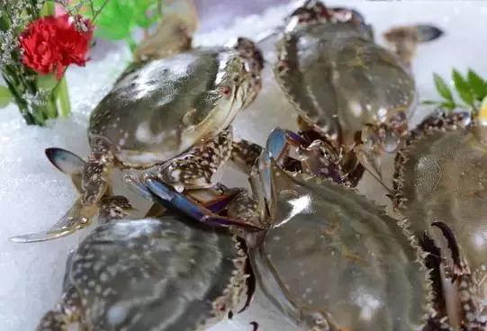 又到吃海鲜的季节咯！一位吕四渔民整理的海鲜大全，保证有你不认识的！