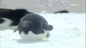 别拿便秘不当病,便秘千万别用这些药