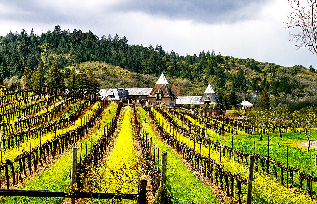 教父3病倒,教父3麦克心脏病发作