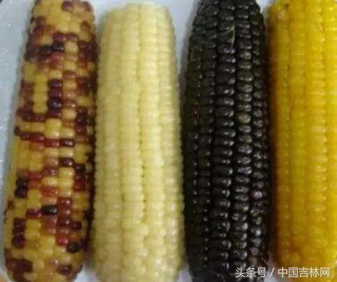 到吉林玩买啥、吃啥？再也不用刘烨代购吉林土特产了！