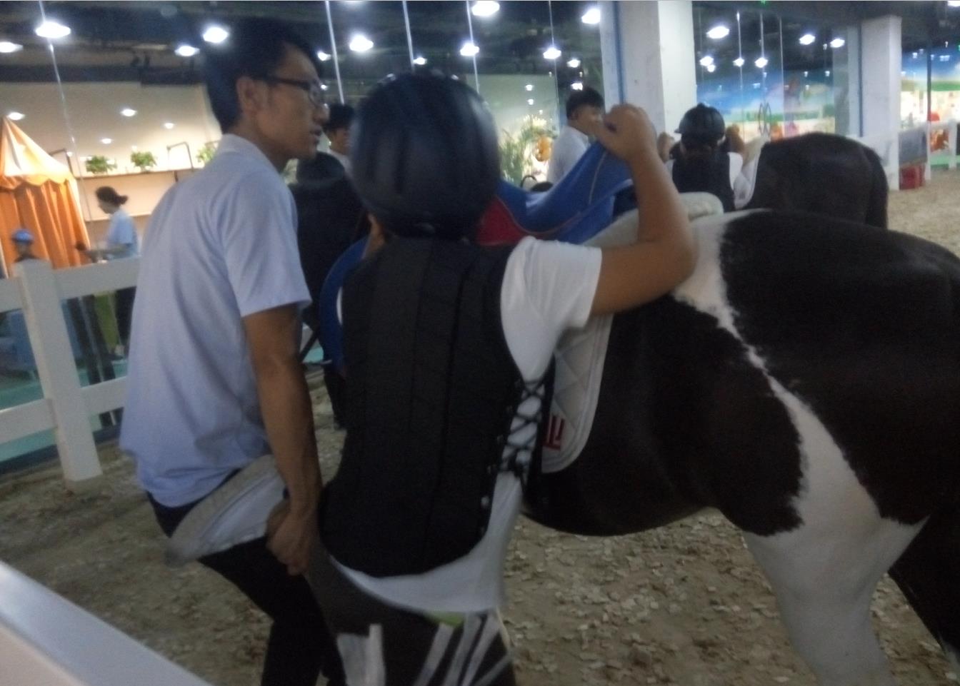 初学骑马的技巧视频,新手骑马的基本要领有哪些呢