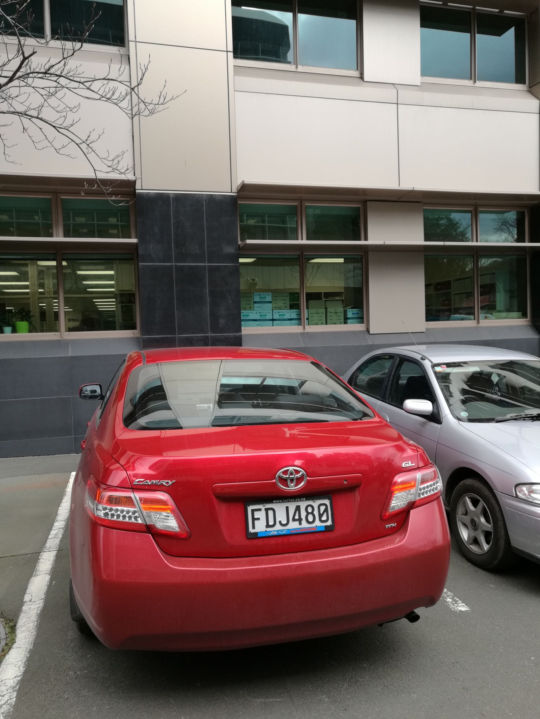 新西兰但尼丁城市介绍,新西兰哪个城市比较宜居