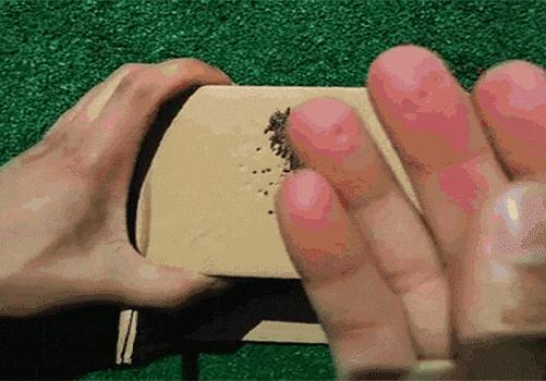 常吃海参的人身体会发生哪些变化,经常吃鸡蛋的人快看看吧