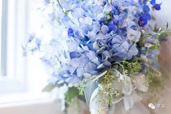 复古捧花品种,常见捧花品种