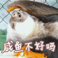 生理期不想动？这些低强度有氧训练除了塑形，还能帮你治痛经！