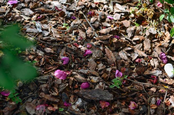 感受战斗民族日常,感受战斗民族的热情