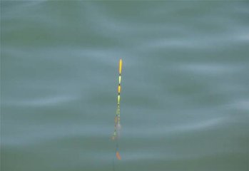 什么是调灵调顿如何调灵调顿又如何判断自己的漂调好了