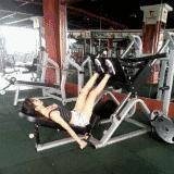 健身房器械使用教程讲解,健身房器械如何使用大全讲解