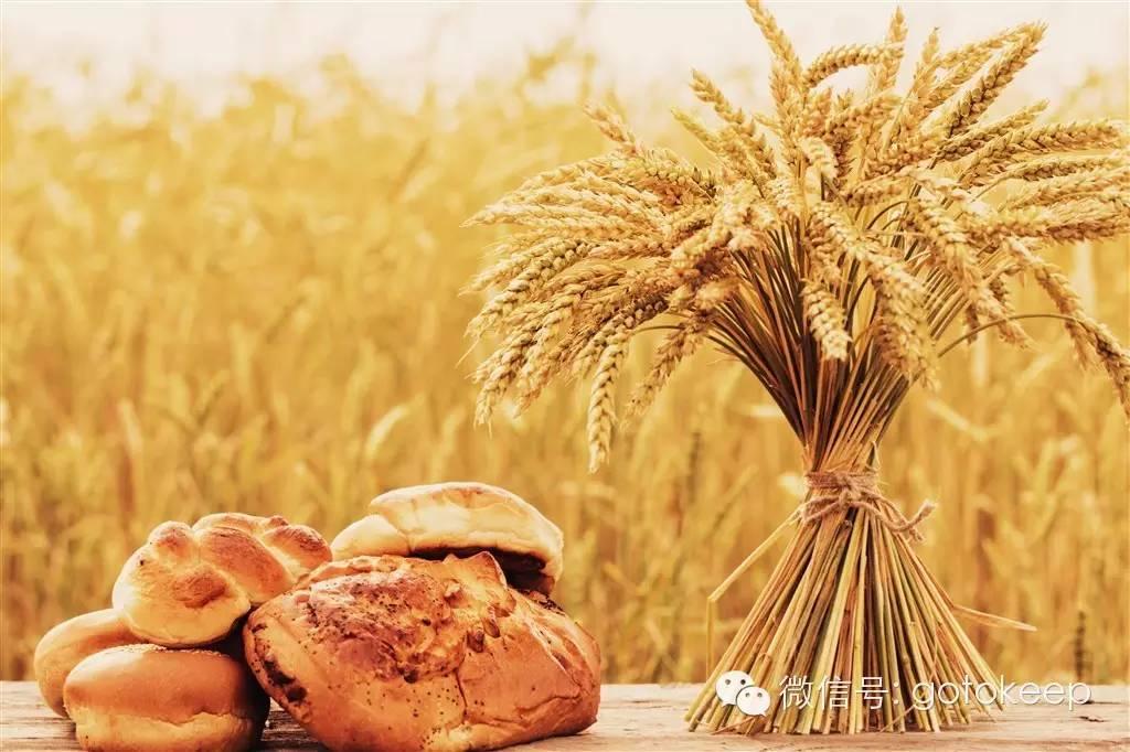 每天运动饮食食谱,运动饮食基础知识