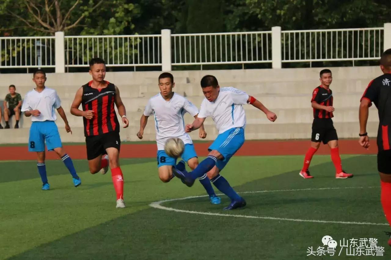 卫士动力110,卫士动力